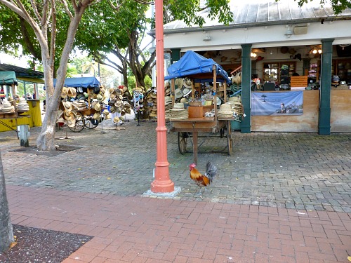 Bahama Village Kiosks and a local Key West rooster