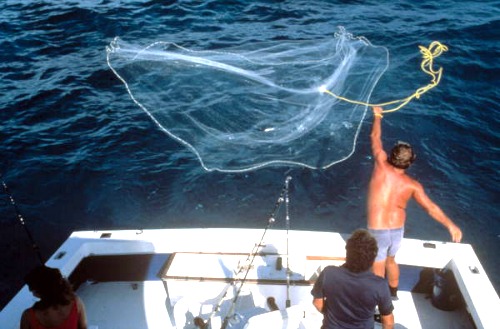 Casting For Ballyhoo Baitfish