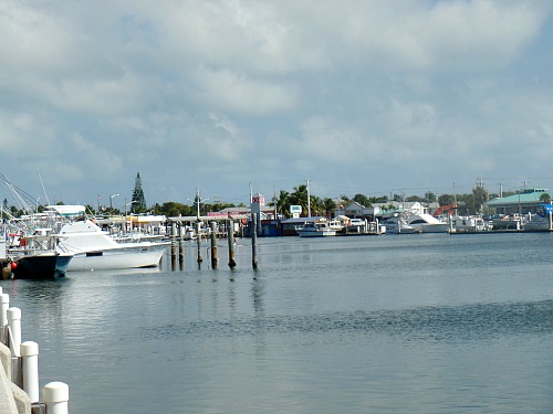 Charter Boat Row, Garrison Bight, Key West FL