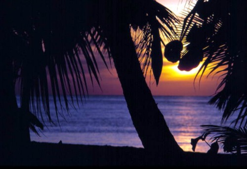 Coconut Palms, Spectacular Sunsets and Beautiful Florida Keys Beaches