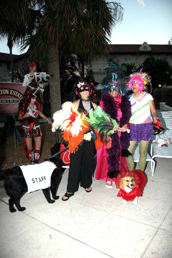 Dogs Dressed For Pet Masquerade