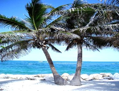 Beautiful Florida Keys Beaches