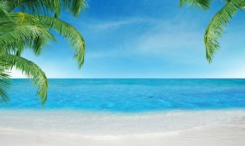 Florida Keys Tropical Paradise