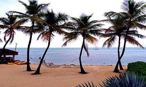 Hammocks and Beaches