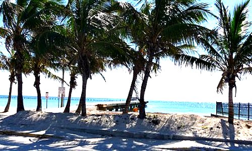 Palms and Sandy Beaches