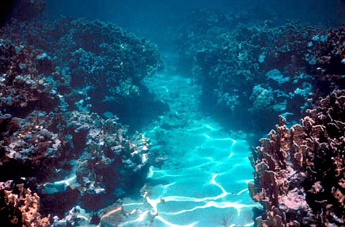 Finger Reef at Sand Key