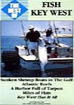 Fish Key West Video