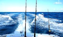 Florida Keys Fishing