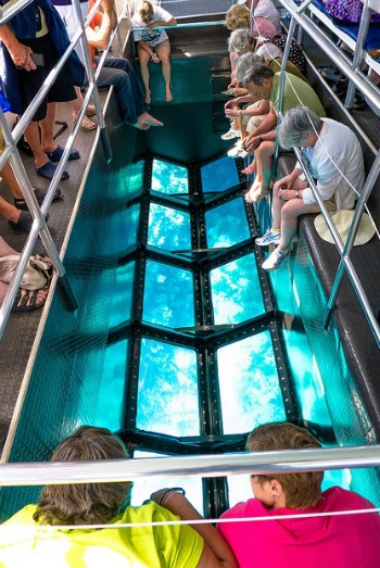 Glass Bottom Boat Tour at Pennekamp