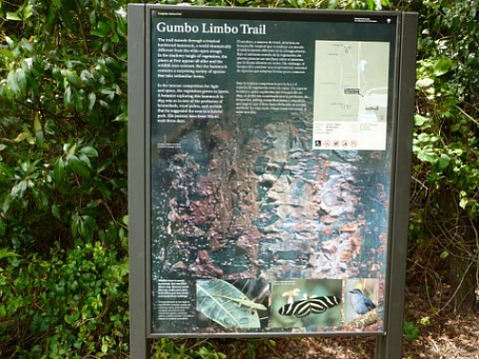 Entrance to Gumbo Limbo Trail