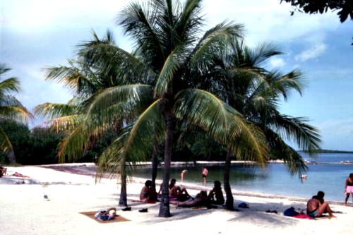 Beautiful Beach at John Pennekamp