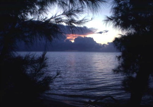 Long Key State Park south of Islamorada
