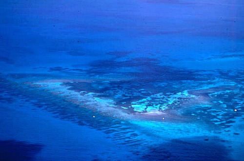 Aerial of Looe Key Reef