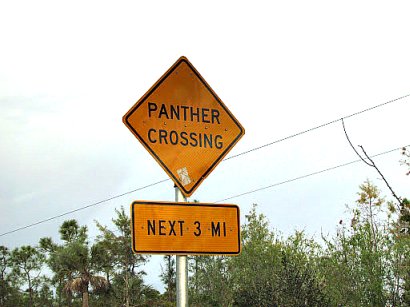 Panther Crossing Signs