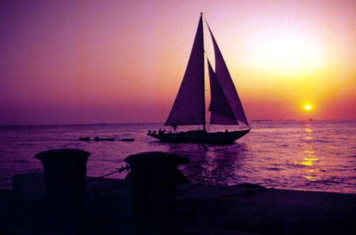Sailing at Sunset Near Key West Bight Marina
