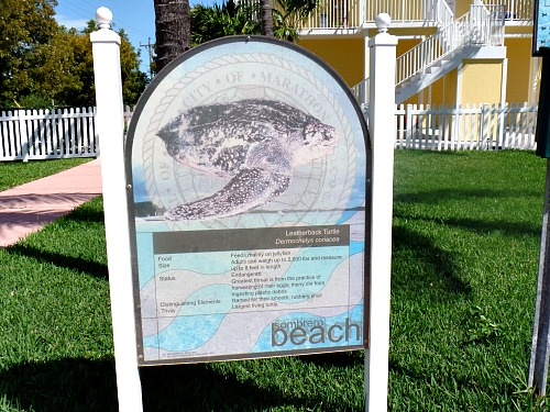 Sombrero Beach Loggerhead Turtle Sign