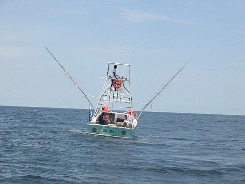 Trolling For Grouper Can be Very Productive