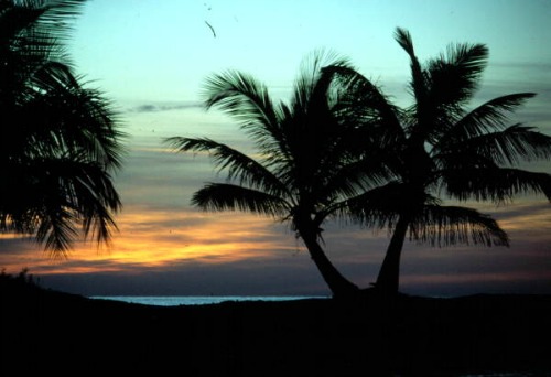 Florida Keys are a Tropical Paradise