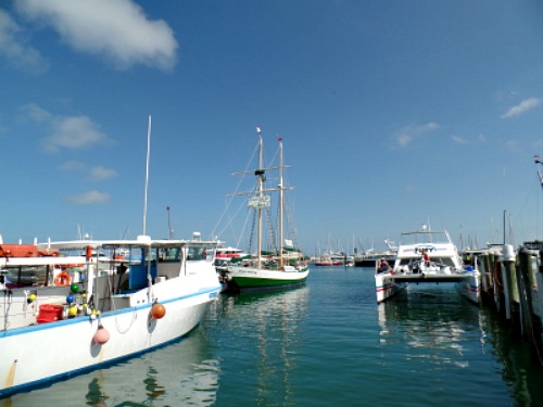 Tall Ship and other boats at the Key West Bight Marina