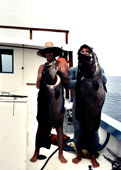 Two Hooked Black Grouper