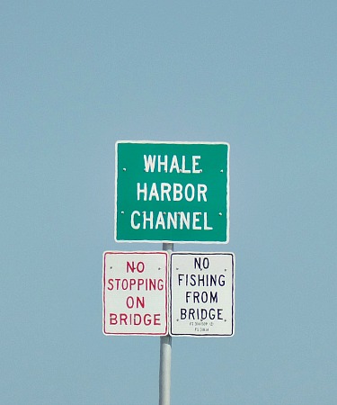 Whale Harbor Channel Off Islamorada FL