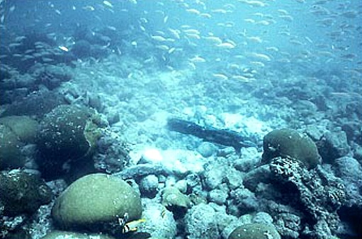 San Pedro Underwater Archaeological Preserve