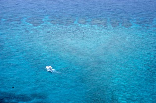 Dive Boat Over 9' Stake Reef