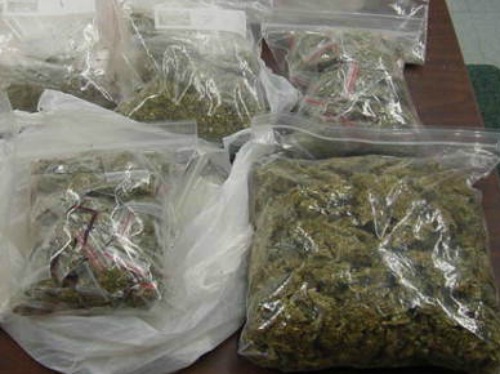 Bags Of Seized Marijuana For Sale