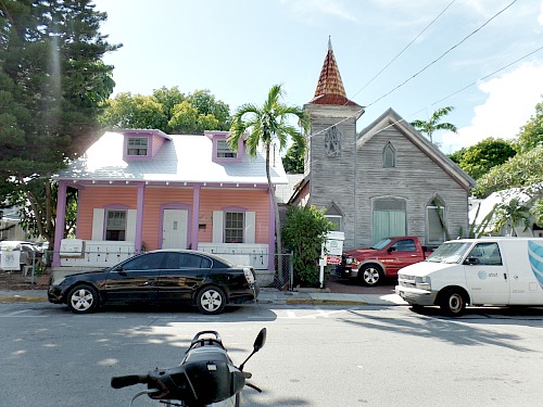 Mr. Chapman's Rare White Chinese Rooster