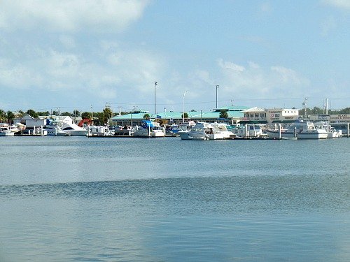 Garrison Bight Marina in Key West