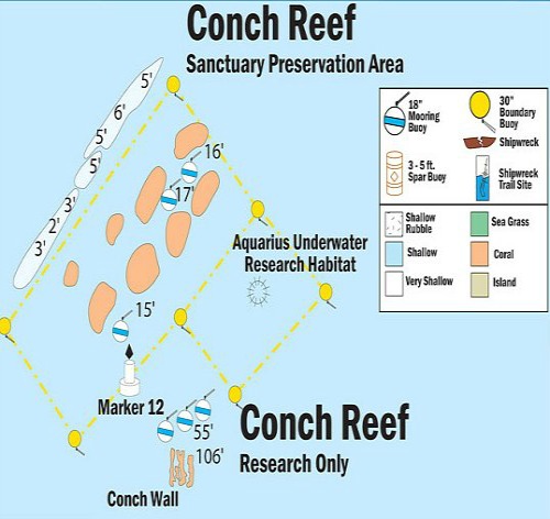 Conch Reef Map
