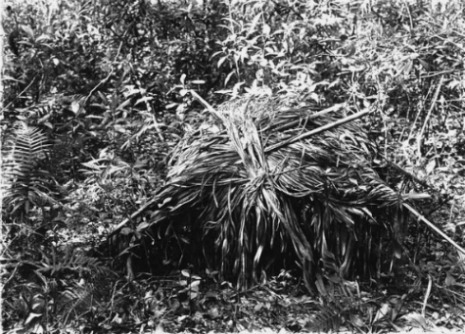 Florida Keys Indian Burial Mound or Cache