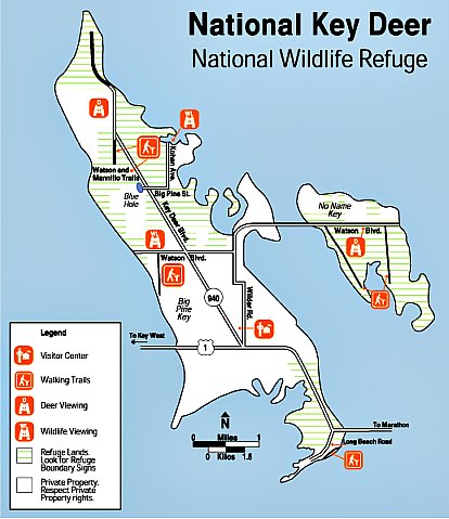 Key Deer Wildlife National Refuge
