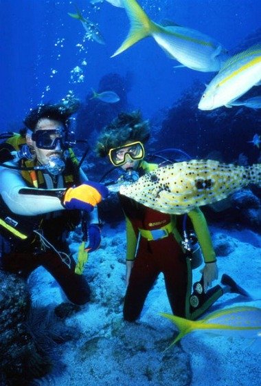Scuba Divers and Fish