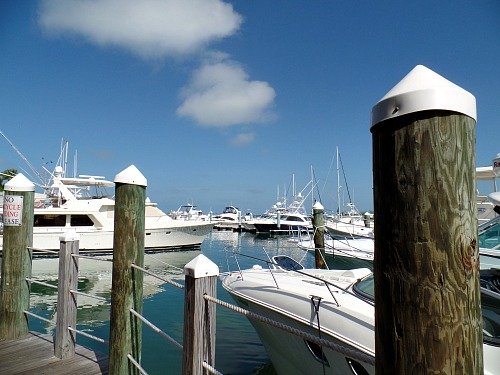 Yachts At Key West Bight Marina, Key West Seaport
